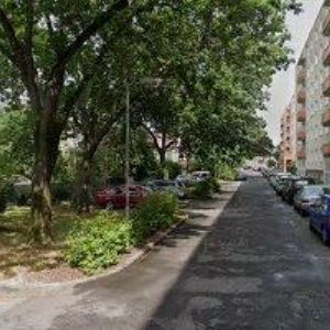 obrazek: avatar KLEMENTA MAREK