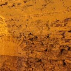 obrazek: avatar IREA s.r.o.