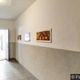 ZM SERVIS MORAVIA, s.r.o.