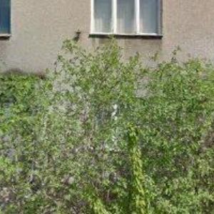 obrazek: avatar DRUMONTÁŽ, VÝROBNÍ DRUŽSTVO