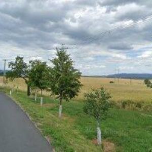 obrazek: avatar ANDĚL PŘEROV s.r.o.