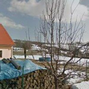 obrazek: avatar ZEDNICTVÍ RICHTER