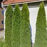 MONEXIN GROUP s.r.o.