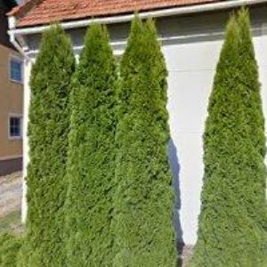 obrazek: avatar MONEXIN GROUP s.r.o.