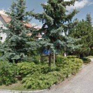 obrazek: avatar SVÍČKY A DEKORACE