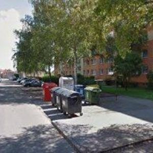 obrazek: avatar MAJER ALEXANDR