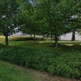 MUGO ZAHRADNICKÁ s.r.o.