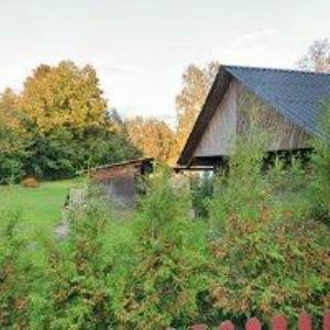 obrazek: avatar GAJDA MILOŠ