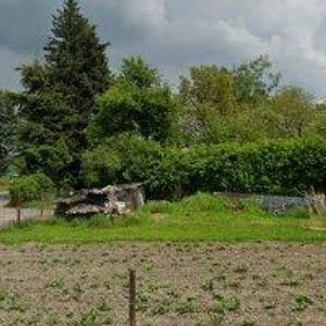 obrazek: avatar ELTOZ STAVBY s.r.o.