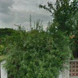 obrazek: avatar BARTKO JÁN