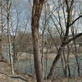 MILAN HOLEC STAVEBNÍ FIRMA s.r.o.