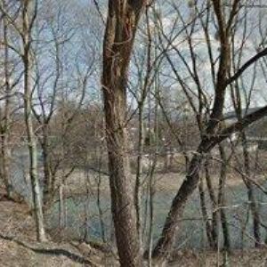 obrazek: avatar MILAN HOLEC STAVEBNÍ FIRMA s.r.o.