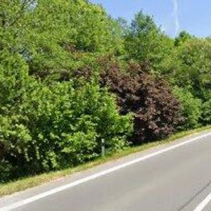 obrazek: avatar DAMAN, spol. s r.o.