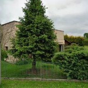 obrazek: avatar RYSTAV