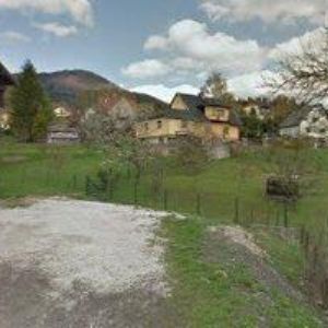 obrazek: avatar ŠENK DANIEL