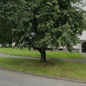 obrazek: avatar LEDVOŇ ANTONÍN