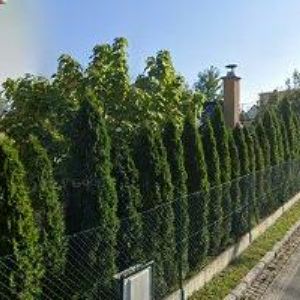 obrazek: avatar LAKOSTAV DRUŽSTVO