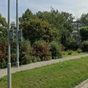 obrazek: avatar OLOMOUCKÁ KRAJSKÁ ORGANIZACE ČUS