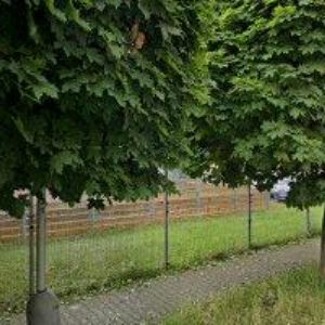 obrazek: avatar GROSPOL CZ s.r.o.