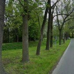 obrazek: avatar PAPÍRUKUS