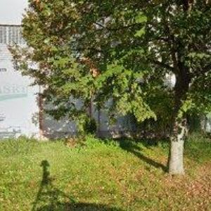 obrazek: avatar TJ SOKOL Smržice