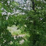 P.O.STAV-TRADE, spol. s r.o.