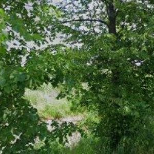 obrazek: avatar P.O.STAV-TRADE, spol. s r.o.