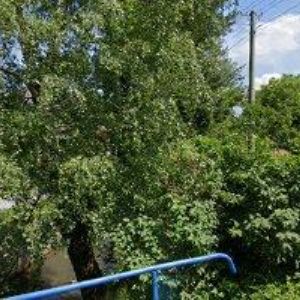 obrazek: avatar SLAVÍK JOSEF