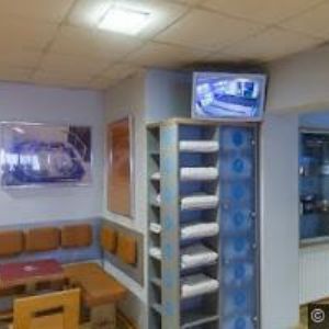 obrazek: avatar JELSTAV-JELÍNEK MIROSLAV