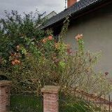 TANEČNÍ SKUPINA MÁTA, z.s.