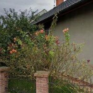 obrazek: avatar TANEČNÍ SKUPINA MÁTA, z.s.