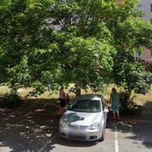 obrazek: avatar BÍLÝ KÁMEN