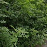 STAVBA STRAPÁČ s.r.o.