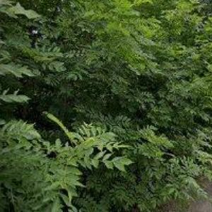 obrazek: avatar STAVBA STRAPÁČ s.r.o.