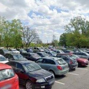 obrazek: avatar PEŠKE PETR