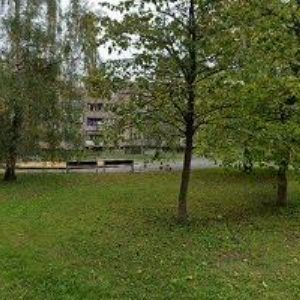 obrazek: avatar MPD SANACE s.r.o.