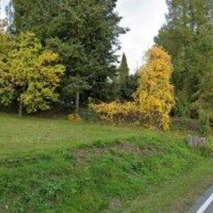 obrazek: avatar ORSREAL s.r.o.