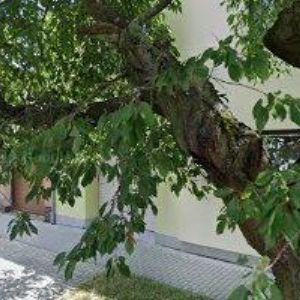 obrazek: avatar ÚAMK-AMK BIKETRIAL KLUB OLOMOUC