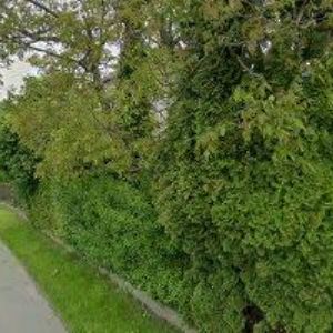 obrazek: avatar RADIM VRCHOVECKÝ.GROUP, s.r.o.