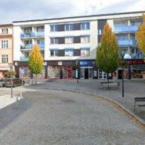 obrazek: avatar JESENICKÝ ŠNEK