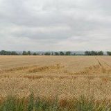 WESTERN RIDING CLUB BENÁTKY