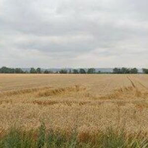 obrazek: avatar WESTERN RIDING CLUB BENÁTKY