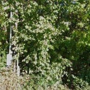 obrazek: avatar MUCINA STAV s.r.o.