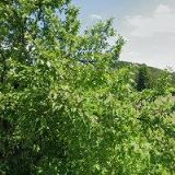 STAVBY PASTOREK s.r.o.