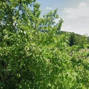 obrazek: avatar STAVBY PASTOREK s.r.o.