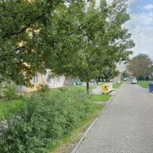 obrazek: avatar SNOWFOX s.r.o.