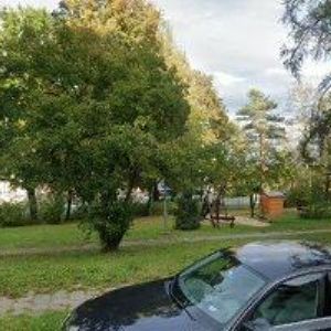 obrazek: avatar ICE PEAK SKI & BOARD SCHOOL