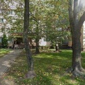 obrazek: avatar MORAVSKOSLEZSKÝ KRAJSKÝ ŠACHOVÝ SVAZ