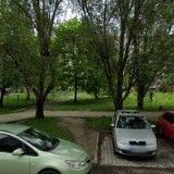 MAŽORETKY KROKODÝL