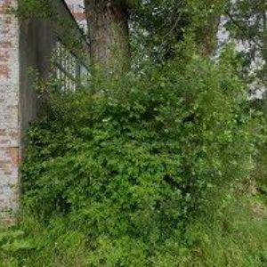 obrazek: avatar TENNISPOINT